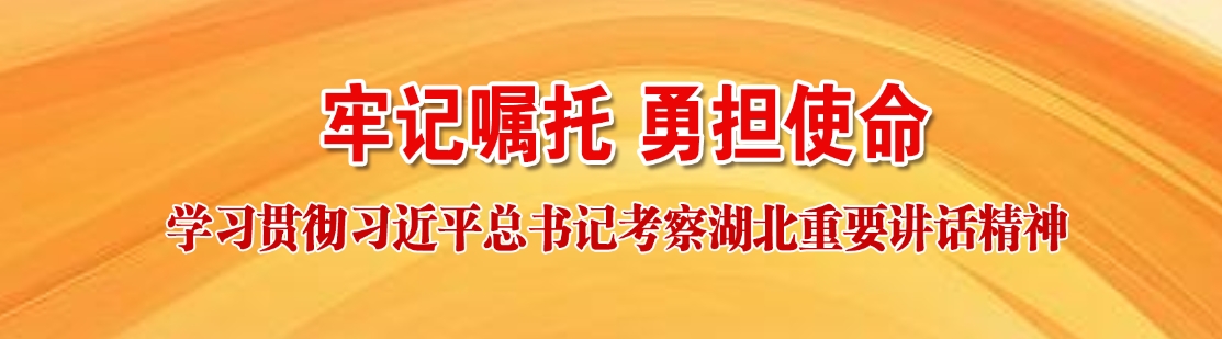 学习贯彻习近平总书记考察湖北重要讲话精神